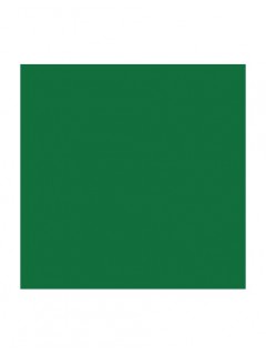 FILTRO E COLOUR PRIMARY GREEN en rollo 122x762 cm